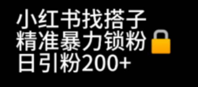 小红书找搭子暴力精准锁粉+引流日引200+精准粉多客网创-网创项目资源站-副业项目-创业项目-搞钱项目多客网创