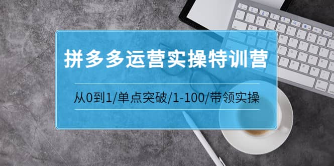 拼多多运营实操特训营：从0到1/单点突破/1-100/带领实操 价值2980元多客网创-网创项目资源站-副业项目-创业项目-搞钱项目多客网创