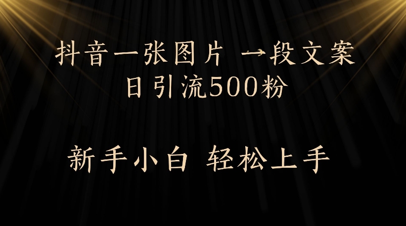 抖音一张图片，一段文案日引流500粉，新手小白 轻松上手多客网创-网创项目资源站-副业项目-创业项目-搞钱项目多客网创