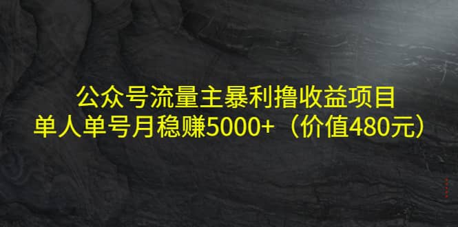 公众号流量主暴利撸收益项目，单人单号月稳赚5000+（价值480元）多客网创-网创项目资源站-副业项目-创业项目-搞钱项目多客网创