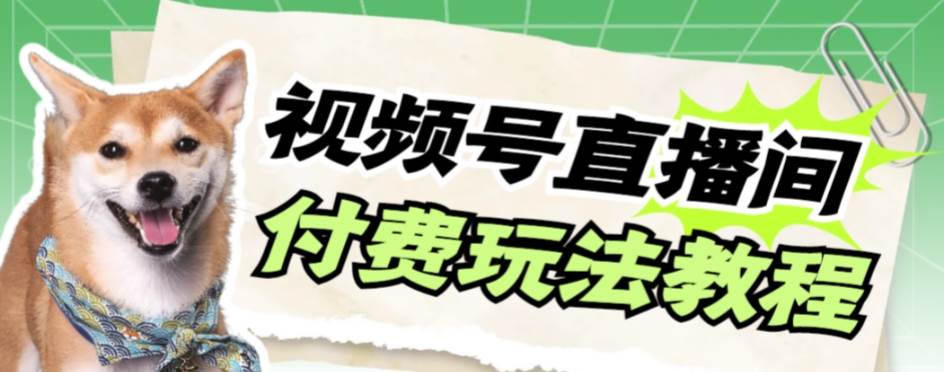 视频号美女付费无人直播，轻松日入500+【详细玩多客网创-网创项目资源站-副业项目-创业项目-搞钱项目多客网创