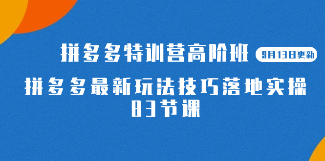 2023拼多多·特训营高阶班【9月13日更新】拼多多最新玩法技巧落地实操-83节多客网创-网创项目资源站-副业项目-创业项目-搞钱项目多客网创
