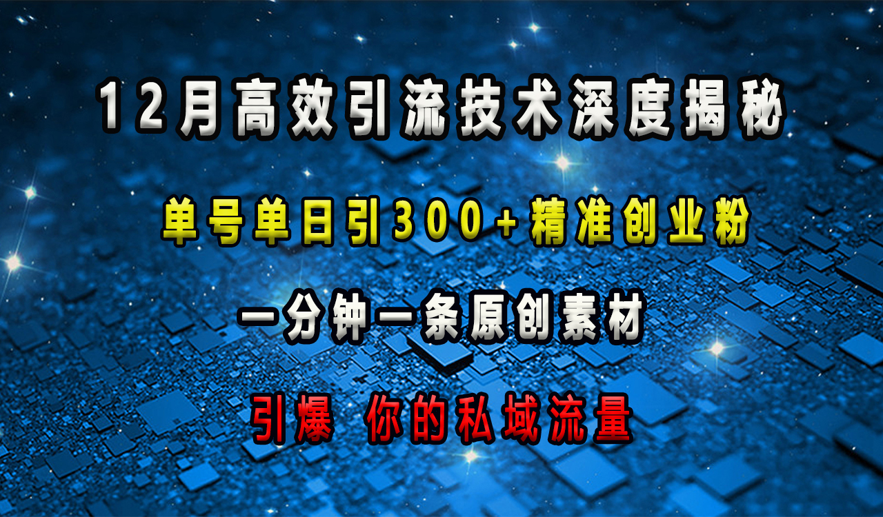 12月高效引流技术深度揭秘 ，单号单日引300+精准创业粉，一分钟一条原创素材，引爆你的私域流量多客网创-网创项目资源站-副业项目-创业项目-搞钱项目多客网创