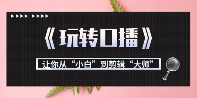 月营业额700万+大佬教您《玩转口播》让你从“小白”到剪辑“大师”多客网创-网创项目资源站-副业项目-创业项目-搞钱项目多客网创