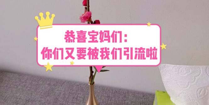 恭喜宝妈们：你们又要被我们引流了（教程+222g资料）多客网创-网创项目资源站-副业项目-创业项目-搞钱项目多客网创