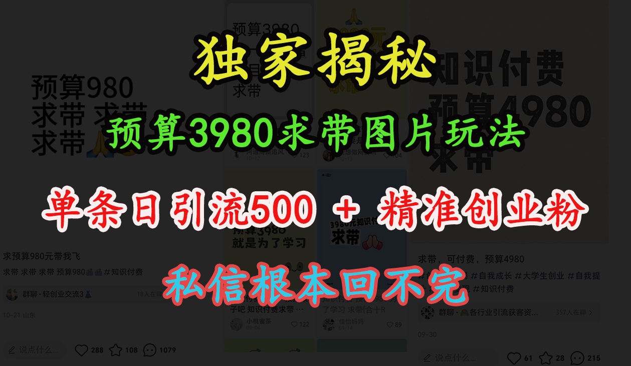 “小红书”预算3980求带 图片玩法，单条日引流500+精准创业粉，私信根本回不完多客网创-网创项目资源站-副业项目-创业项目-搞钱项目多客网创