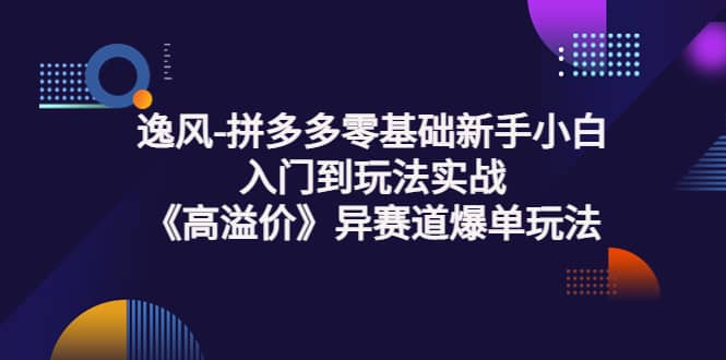 拼多多零基础新手小白入门到玩法实战《高溢价》异赛道爆单玩法实操课多客网创-网创项目资源站-副业项目-创业项目-搞钱项目多客网创