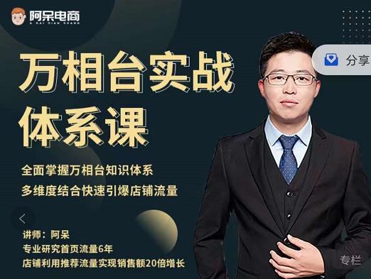 阿呆-万相台实战体系课，帮您全面掌握万相台知识体系多客网创-网创项目资源站-副业项目-创业项目-搞钱项目多客网创