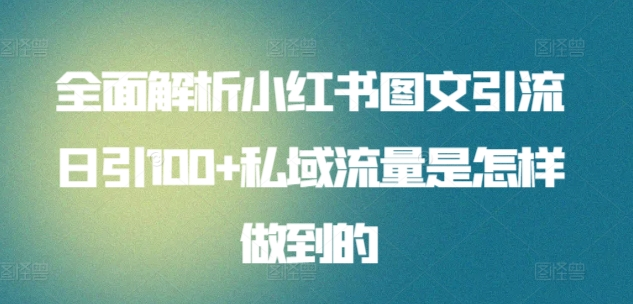 全面解析小红书图文引流日引100私域流量是怎样做到的多客网创-网创项目资源站-副业项目-创业项目-搞钱项目多客网创