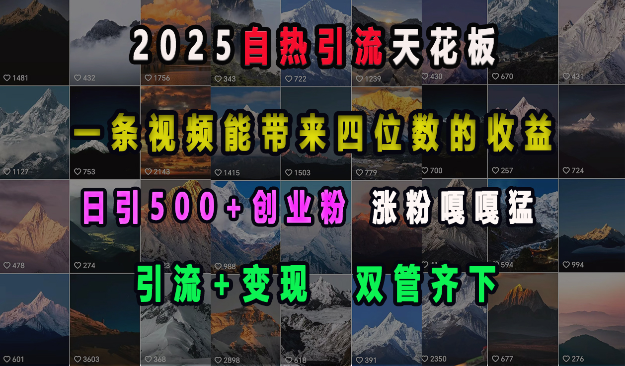 2025自热引流天花板，一条视频能带来四位数的收益，引流+变现双管齐下，日引500+创业粉，涨粉嘎嘎猛多客网创-网创项目资源站-副业项目-创业项目-搞钱项目多客网创