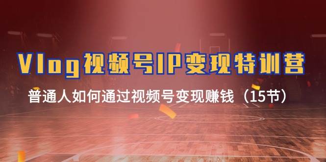 Vlog 视频号IP变现特训营，普通人如何通过视频号变现赚钱（15节）多客网创-网创项目资源站-副业项目-创业项目-搞钱项目多客网创
