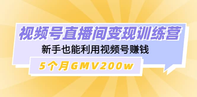 视频号直播间变现训练营多客网创-网创项目资源站-副业项目-创业项目-搞钱项目多客网创