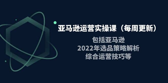 亚马逊运营实操课（每周更新）包括亚马逊2022选品策略解析，综合运营技巧等多客网创-网创项目资源站-副业项目-创业项目-搞钱项目多客网创