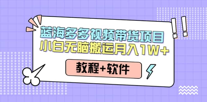 人人都能操作的蓝海多多视频带货项目 小白无脑搬运（教程+软件）多客网创-网创项目资源站-副业项目-创业项目-搞钱项目多客网创