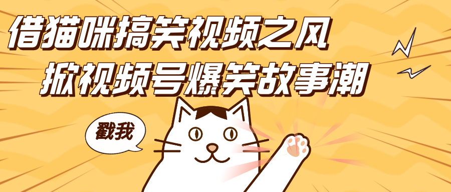 借猫咪搞笑视频之风，掀视频号爆笑故事潮，轻松日赚四位数，开启无门槛赚钱新体验！多客网创-网创项目资源站-副业项目-创业项目-搞钱项目多客网创