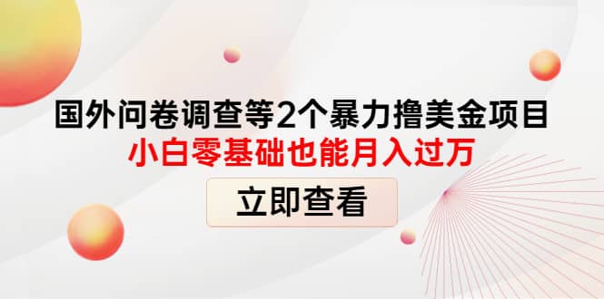 国外问卷调查等2个暴力撸美元项目，小白零基础也能月入过万多客网创-网创项目资源站-副业项目-创业项目-搞钱项目多客网创
