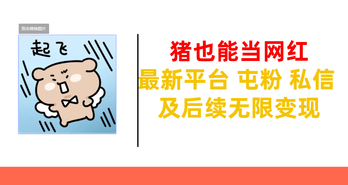 猪也能当网红-最新平台 屯粉 交流 私信 及后续无限变现多客网创-网创项目资源站-副业项目-创业项目-搞钱项目多客网创