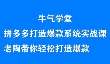 牛气学堂拼多多打造爆款系统实战课，老陶带你轻松打造爆款多客网创-网创项目资源站-副业项目-创业项目-搞钱项目多客网创