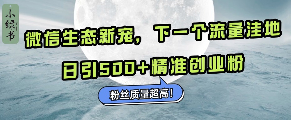 微信生态新宠小绿书：下一个流量洼地，粉丝质量超高，日引500+精准创业粉，多客网创-网创项目资源站-副业项目-创业项目-搞钱项目多客网创
