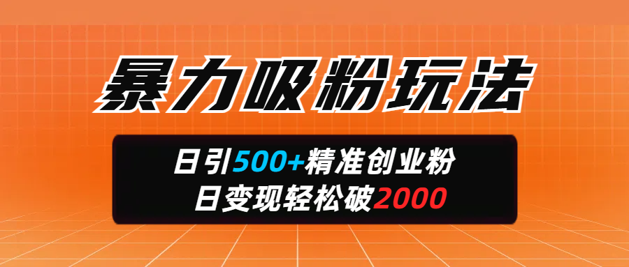 暴力吸粉玩法，日引500+精准创业粉，日变现轻松破2000多客网创-网创项目资源站-副业项目-创业项目-搞钱项目多客网创
