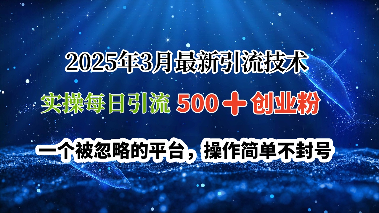 2025年3月最新引流技术，实操每日引流500➕创业粉，一个被忽略的平台，操作简单不封号多客网创-网创项目资源站-副业项目-创业项目-搞钱项目多客网创