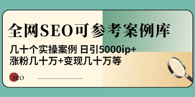 《全网SEO可参考案例库》几十个实操案例多客网创-网创项目资源站-副业项目-创业项目-搞钱项目多客网创