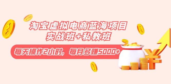 淘宝虚拟电商蓝海项目实战班+私教班多客网创-网创项目资源站-副业项目-创业项目-搞钱项目多客网创