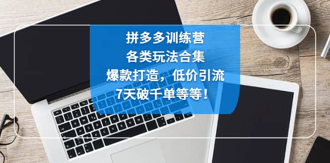 拼多多训练营：各玩法合集，爆款打造，低价引流，7天破千单等等多客网创-网创项目资源站-副业项目-创业项目-搞钱项目多客网创