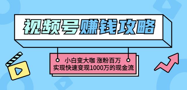 玩转微信视频号赚钱：小白变大咖涨粉百万实现快速变现1000万的现金流多客网创-网创项目资源站-副业项目-创业项目-搞钱项目多客网创