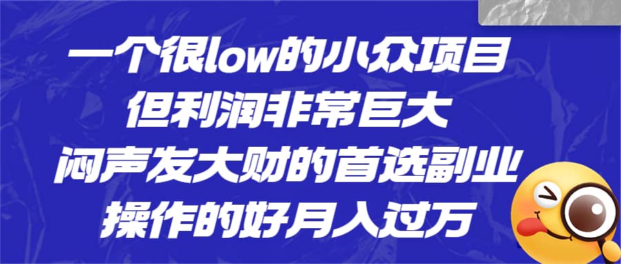 一个很low的小众项目，但利润非常巨大，闷声发大财的首选副业，月入过万多客网创-网创项目资源站-副业项目-创业项目-搞钱项目多客网创
