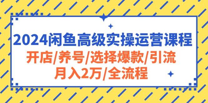 2024闲鱼高级实操运营课程:开店/养号/选择爆款/引流/月入2万/全流程多客网创-网创项目资源站-副业项目-创业项目-搞钱项目多客网创