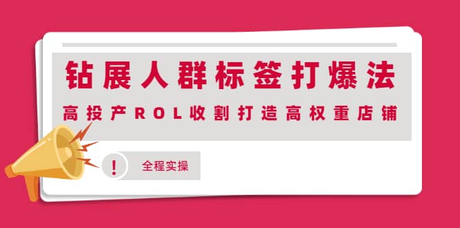 钻展人群标签打爆法，高投产ROL收割打造高权重店铺(全程实操)多客网创-网创项目资源站-副业项目-创业项目-搞钱项目多客网创