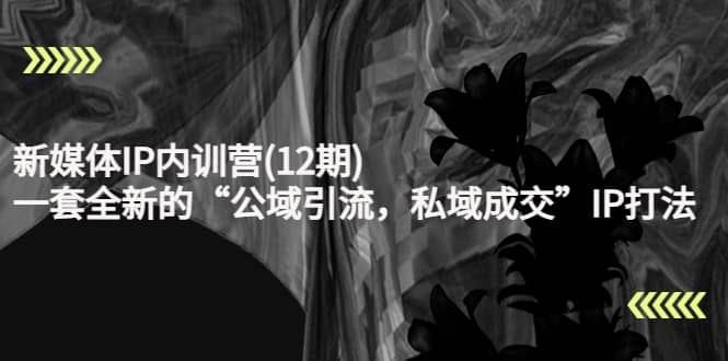 新媒体IP内训营(12期)，一套全新的“公域引流，私域成交”IP打法，直接带走多客网创-网创项目资源站-副业项目-创业项目-搞钱项目多客网创