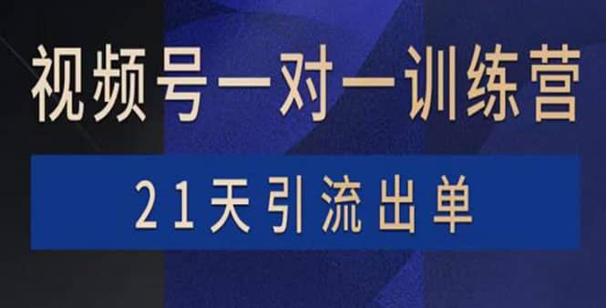 视频号训练营：带货，涨粉，直播，游戏，四大变现新方向，21天引流出单多客网创-网创项目资源站-副业项目-创业项目-搞钱项目多客网创
