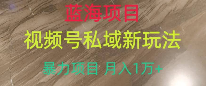 蓝海项目，视频号私域新玩法，暴力项目月入1万+【揭秘】多客网创-网创项目资源站-副业项目-创业项目-搞钱项目多客网创