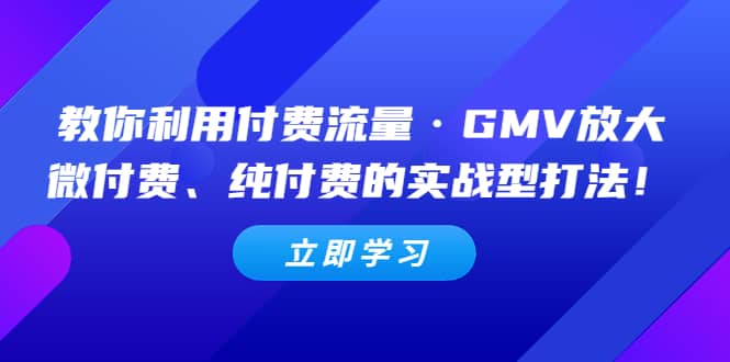 教你利用付费流量·GMV放大，微付费、纯付费的实战型打法多客网创-网创项目资源站-副业项目-创业项目-搞钱项目多客网创