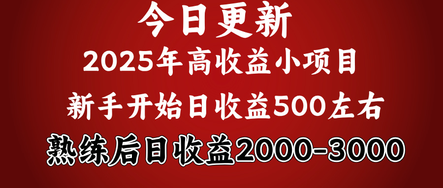 2025开年好项目，新手日收益500+ 熟练掌握后，日收益平均2000多多客网创-网创项目资源站-副业项目-创业项目-搞钱项目多客网创