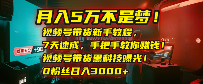 月入5万不是梦！视频号带货新手教程，7天速成，手把手教你赚钱！视频号带货黑科技曝光！0粉丝日入3000+多客网创-网创项目资源站-副业项目-创业项目-搞钱项目多客网创