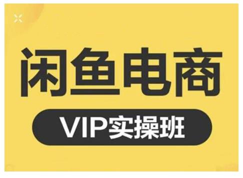 闲鱼电商零基础入门到进阶VIP实战课程，帮助你掌握闲鱼电商所需的各项技能多客网创-网创项目资源站-副业项目-创业项目-搞钱项目多客网创