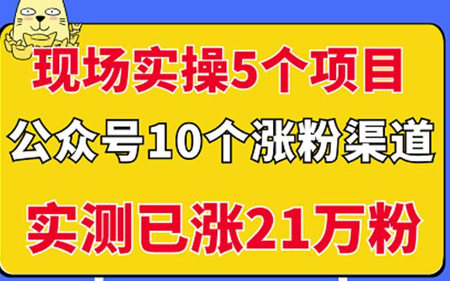 现场实操5个公众号项目，10个涨粉渠道，实测已涨21万粉！多客网创-网创项目资源站-副业项目-创业项目-搞钱项目多客网创