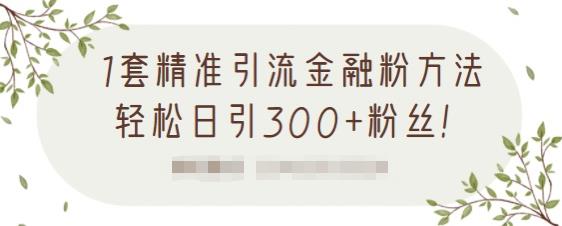 1套精准引流金融粉方法，轻松日引300+粉丝【视频课程】多客网创-网创项目资源站-副业项目-创业项目-搞钱项目多客网创