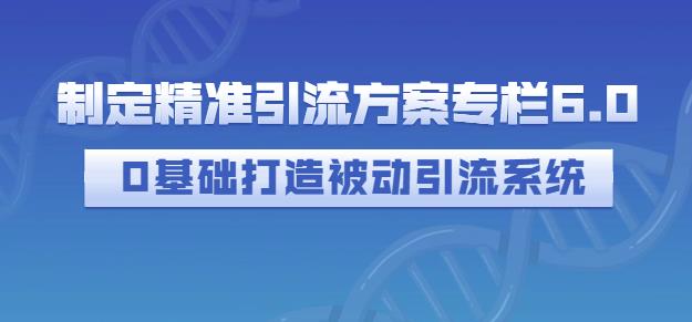 制定精准引流方案专栏6.0，0基础打造被动引流系统多客网创-网创项目资源站-副业项目-创业项目-搞钱项目多客网创