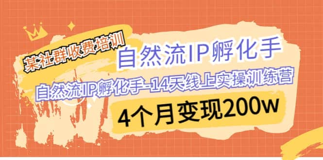 某社群收费培训:自然流IP 孵化手-14天线上实操训练营 4个月变现200w多客网创-网创项目资源站-副业项目-创业项目-搞钱项目多客网创