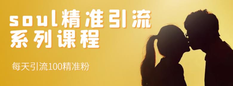 soul精准引流系列课程，每天引流100精准粉多客网创-网创项目资源站-副业项目-创业项目-搞钱项目多客网创