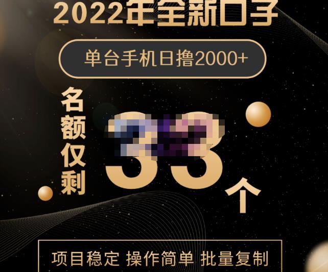 2022年全新口子，手机批量搬砖玩法，一部手机日撸2000+多客网创-网创项目资源站-副业项目-创业项目-搞钱项目多客网创