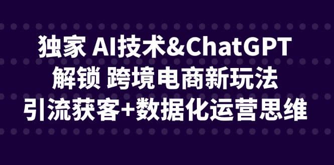独家 AI技术ChatGPT解锁 跨境电商新玩法，引流获客+数据化运营思维多客网创-网创项目资源站-副业项目-创业项目-搞钱项目多客网创