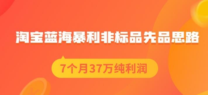 盗坤淘宝蓝海暴利非标品先品思路，7个月37万纯利润，压箱干货分享！【付费文章】多客网创-网创项目资源站-副业项目-创业项目-搞钱项目多客网创
