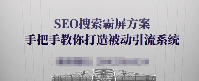 SEO搜索霸屏方案，手把手教你打造被动引流系统【视频课程】多客网创-网创项目资源站-副业项目-创业项目-搞钱项目多客网创