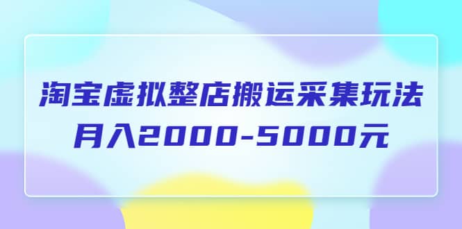 淘宝虚拟整店搬运采集玩法分享课：月入2000-5000元（5节课）多客网创-网创项目资源站-副业项目-创业项目-搞钱项目多客网创