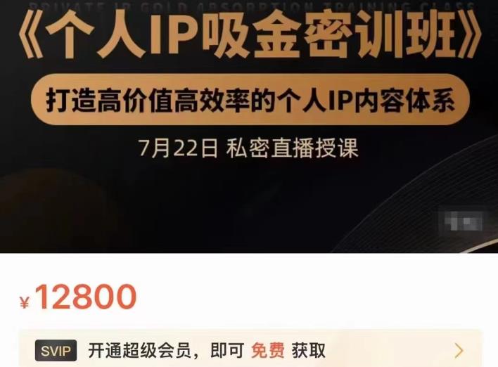 个人IP吸金密训班，打造高价值高效率的个人IP内容体系（价值12800元）多客网创-网创项目资源站-副业项目-创业项目-搞钱项目多客网创